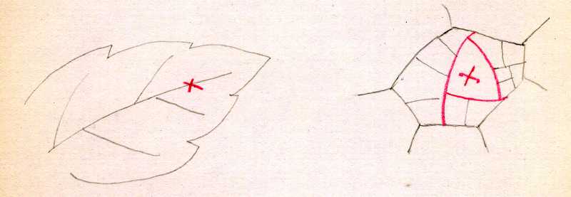 104.jpg