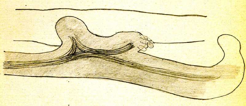 114.jpg