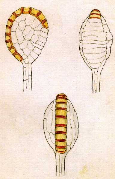 119.jpg