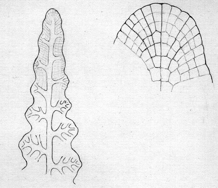 120.jpg