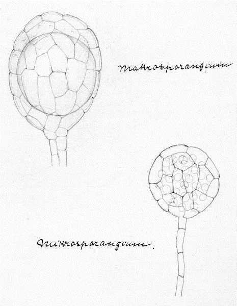 122.jpg