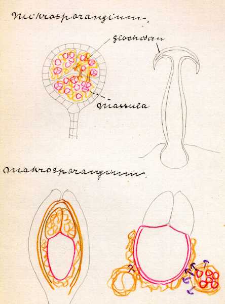 127.jpg
