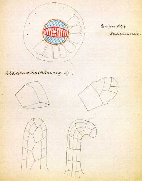 133.jpg