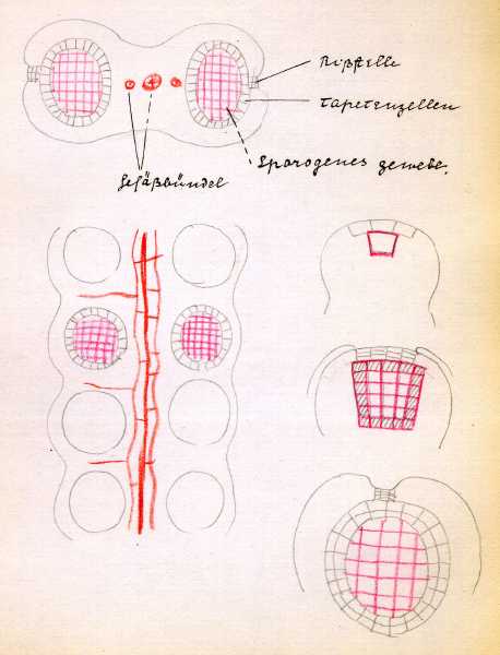 145.jpg