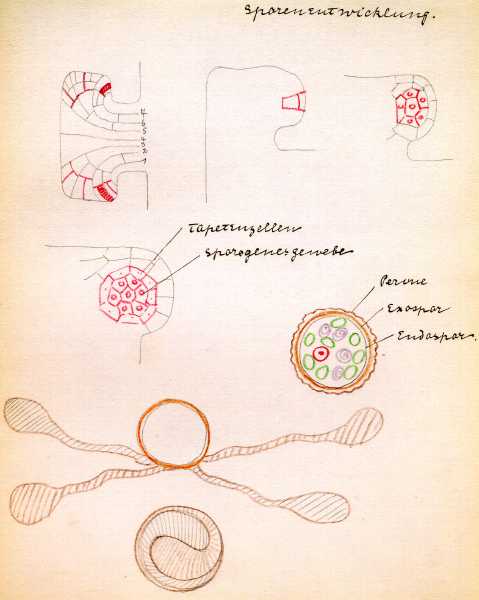 151.jpg