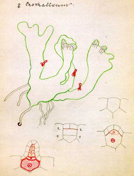 154.jpg