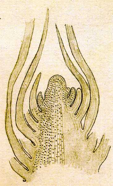 157.jpg