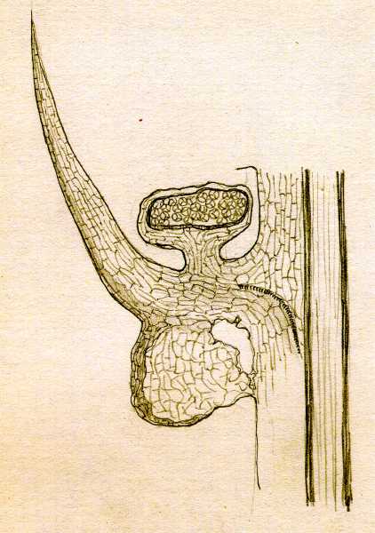 159.jpg