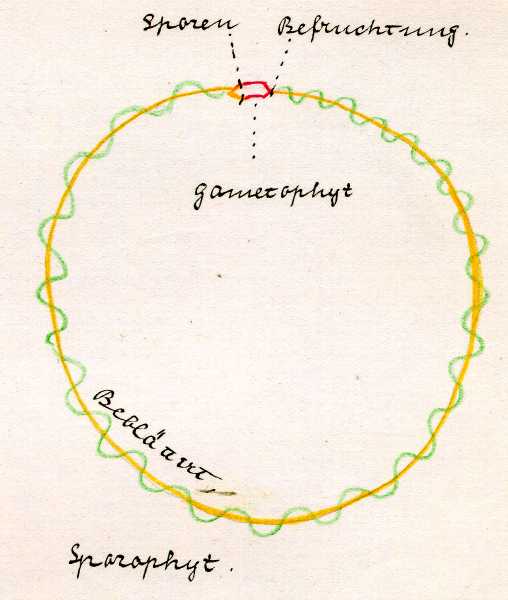 165.jpg
