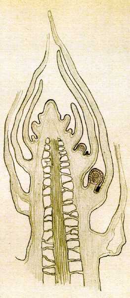 167.jpg