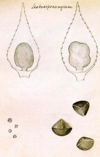 169.jpg