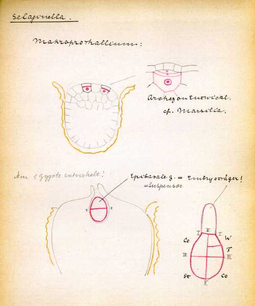 171.jpg
