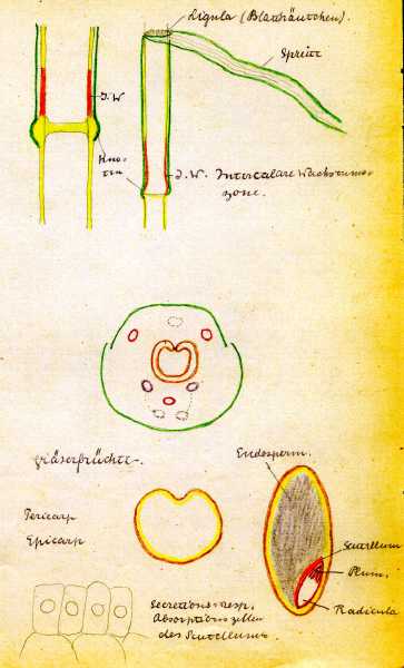 185.jpg
