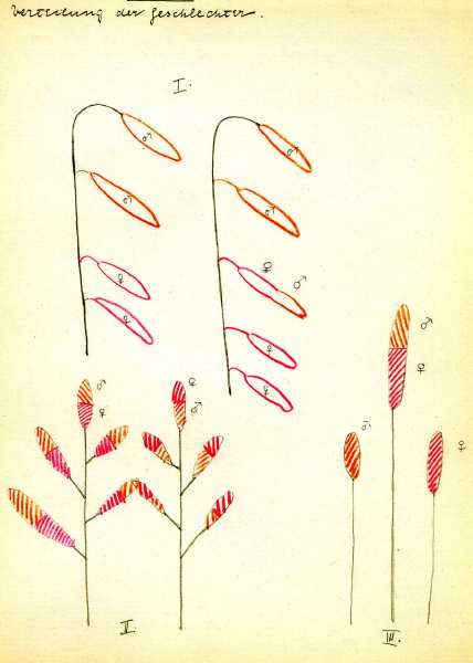 188.jpg