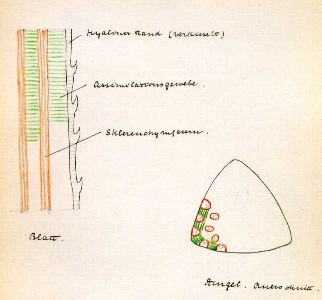 190.jpg