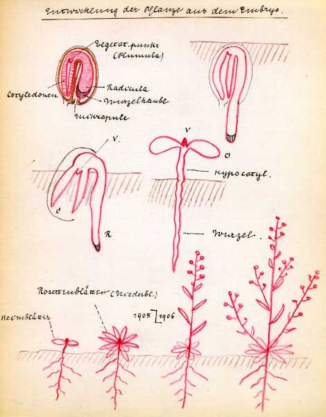 191.jpg