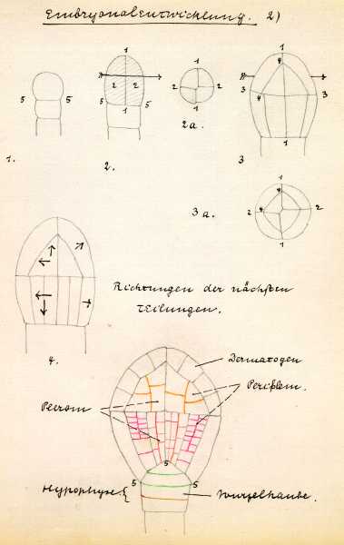 192.jpg