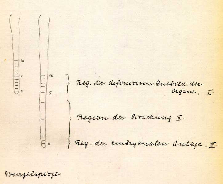 197.jpg