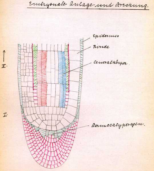 199.jpg