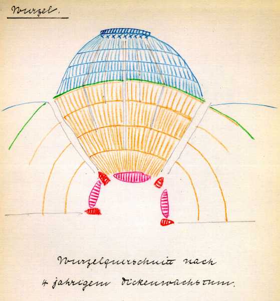 213.jpg
