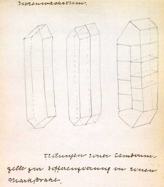235.jpg