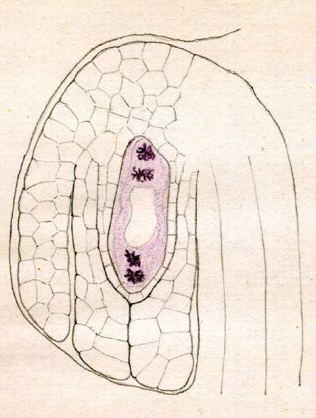 256.jpg