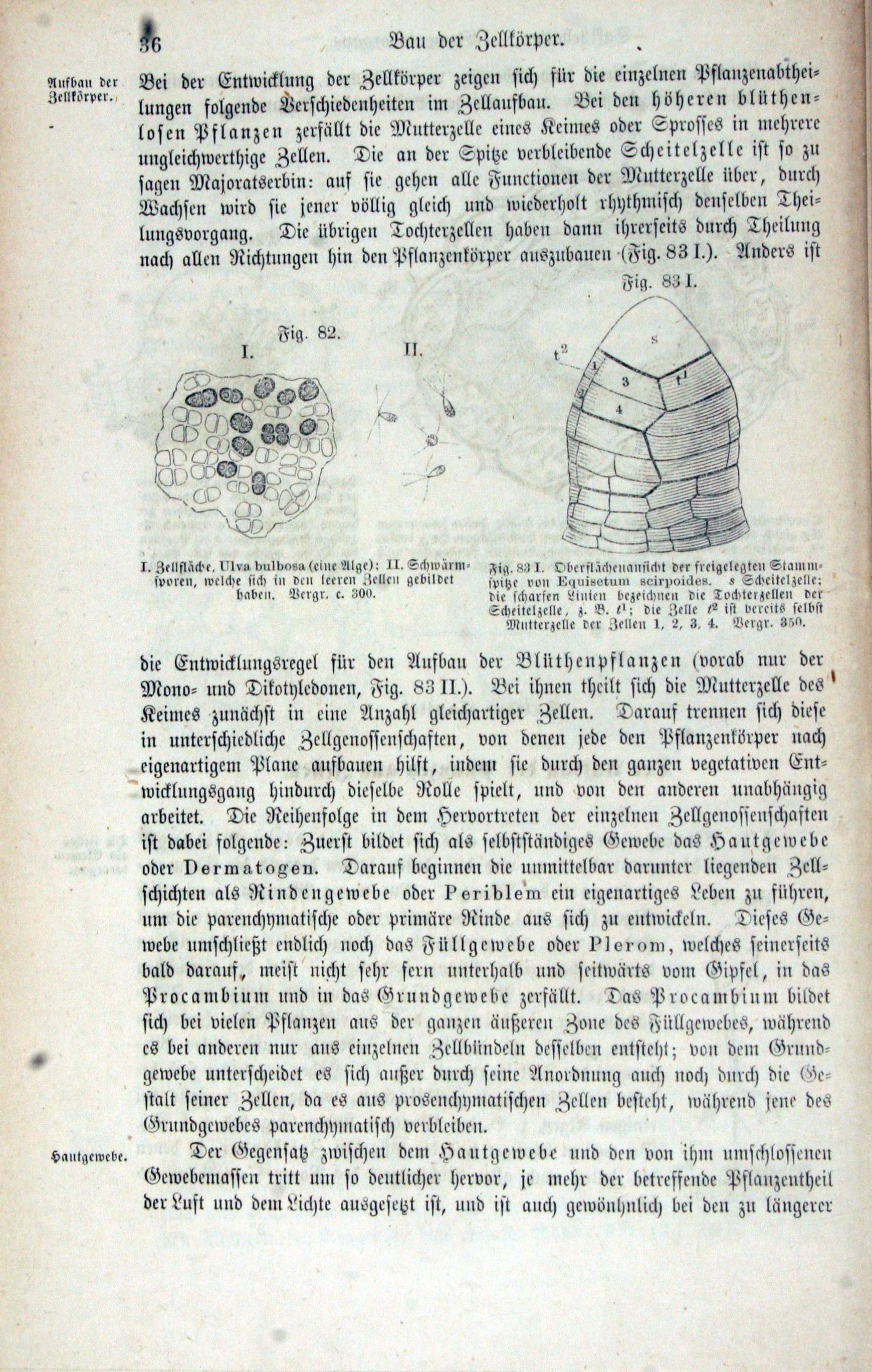 Lehrbuch Der Botanik Fur Gymnasien Realschulen Forst Und Landwirthschaftliche Lehranstalten Pharmaceutische Institute Etc Sowie Zum Selbstunterrichte 1872