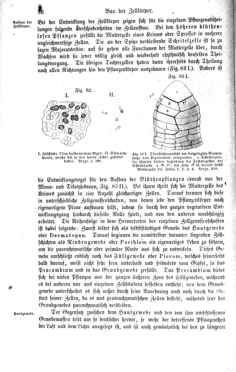 Lehrbuch Der Botanik Fur Gymnasien Realschulen Forst Und Landwirthschaftliche Lehranstalten Pharmaceutische Institute Etc Sowie Zum Selbstunterrichte 1872