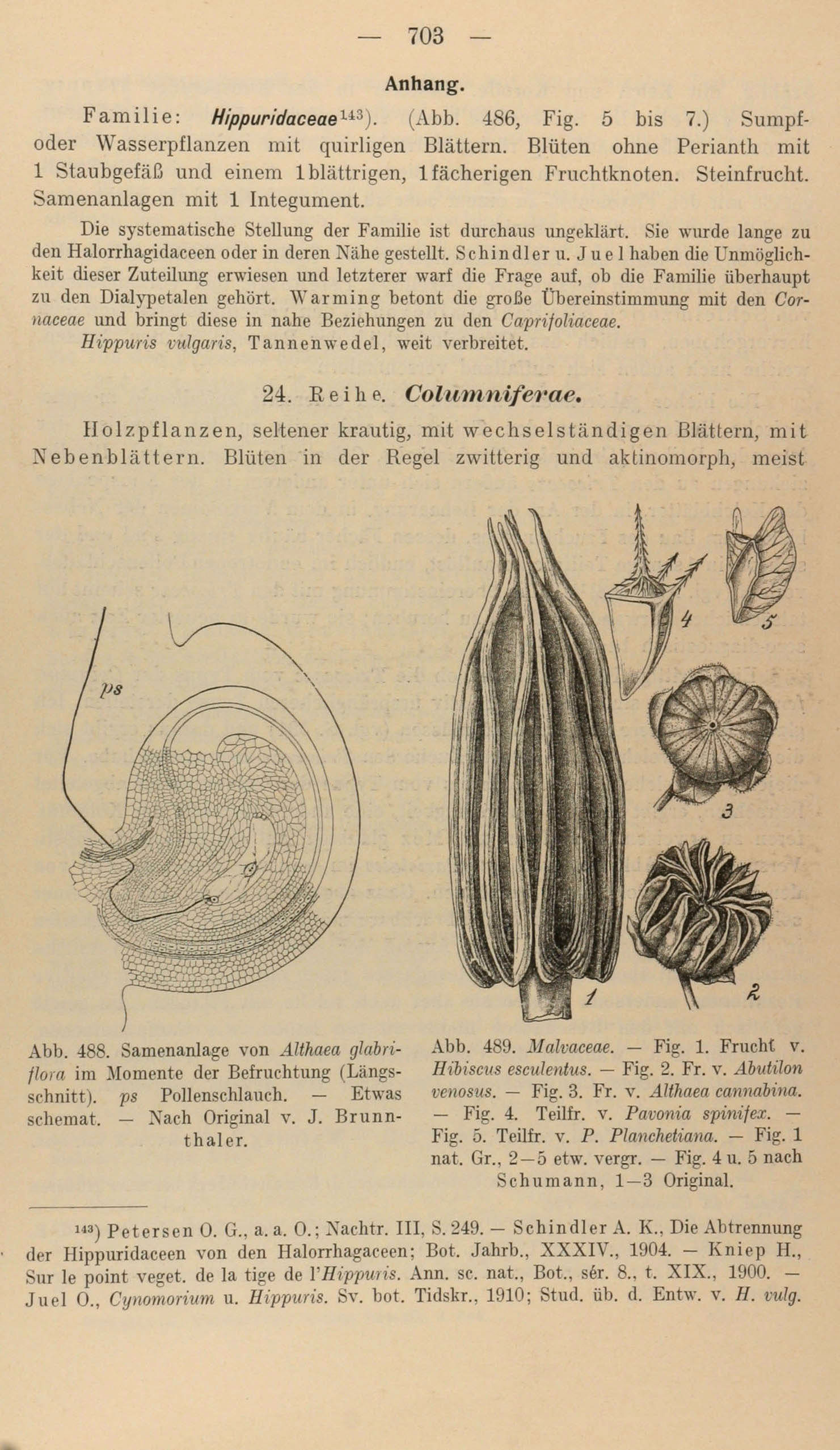 Handbuch der Systematischen Botanik (1924)